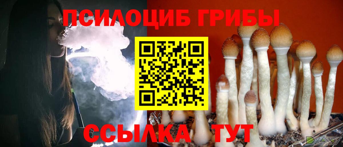 Псилоцибиновые грибы мухоморы  Вход с VPN  Ипатово 